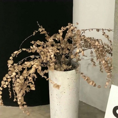 兽设火焰元素融合FurryQQ群